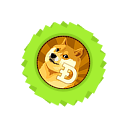coin icon